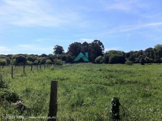 Se vende terreno no urbanizable en Arnuero - CANTABRIA