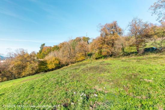  Se Vende en Tineo - ASTURIAS 