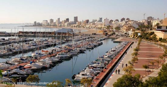 Local esquinero! - ALICANTE