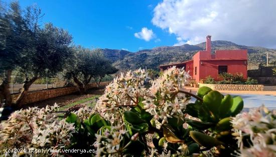 Casa rustica alquiler - GRANADA