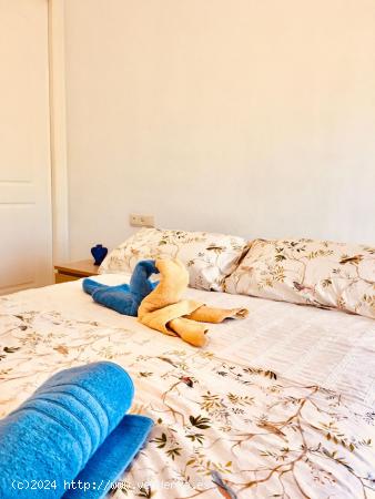 Apartamento alquiler - GRANADA