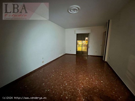 Estupenda vivienda en Las Palmeras. - Bailén