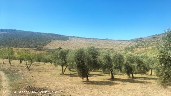  Casa de campo-Masía en Venta en Albuñuelas Granada Ref: cor072 