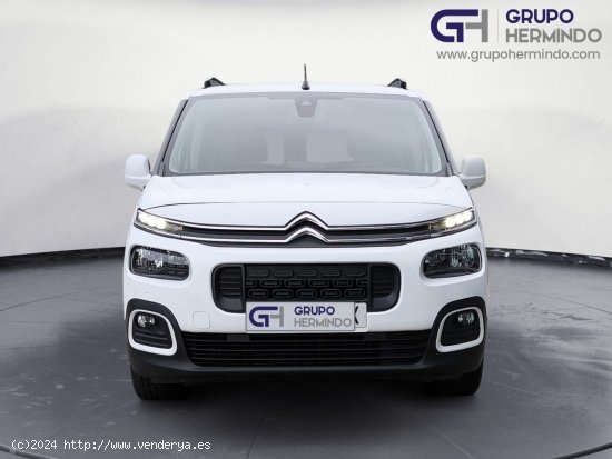 Citroën Berlingo TALLA M FEEL BLUE HDI 100 CV - Ponteareas