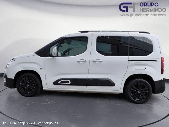 Citroën Berlingo TALLA M FEEL BLUE HDI 100 CV - Ponteareas