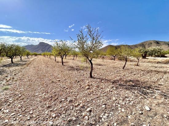 Terreno en Barbarroja - ALICANTE