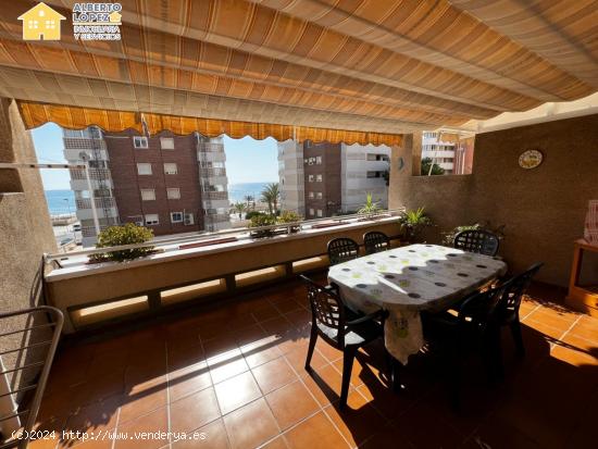 Apartamento en alquiler de septiembre a junio, Arenales del Sol. - ALICANTE