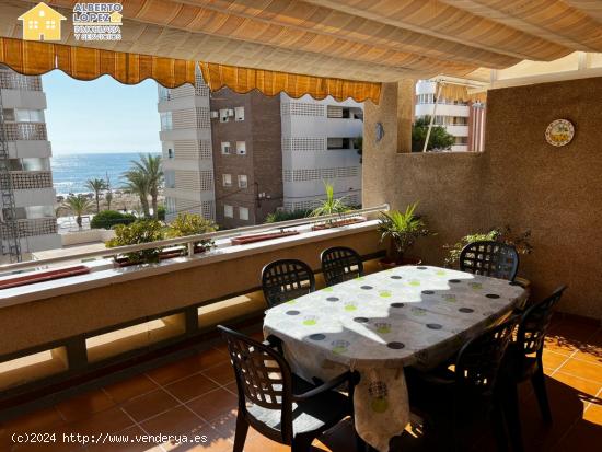 Apartamento en alquiler de septiembre a junio, Arenales del Sol. - ALICANTE