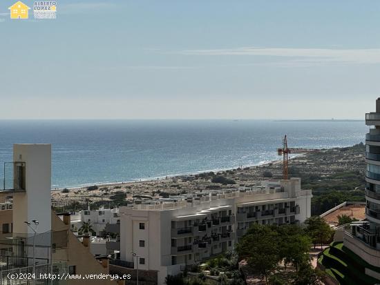 Alquiler de septiembre a junio en Arenales del Sol. - ALICANTE