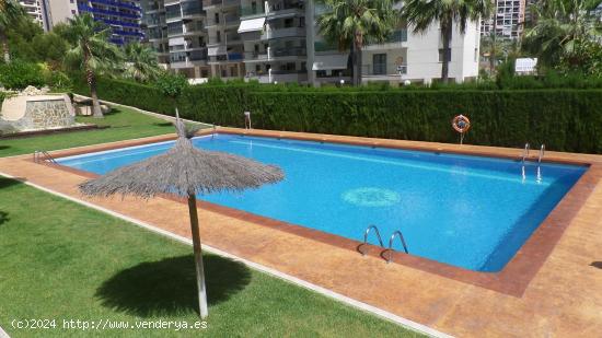  APARTAMENTO DE 1 DORMITORIO CON GARAJE EN EDIFICIO NIAGARA. CALA VILLAJOYOSA. MILPISOS - ALICANTE 