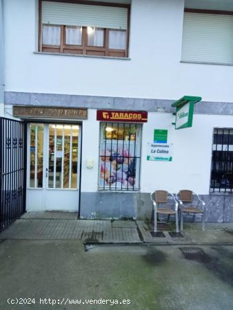 LOCAL COMERCIAL EN LA GANDARA-SOBA - CANTABRIA