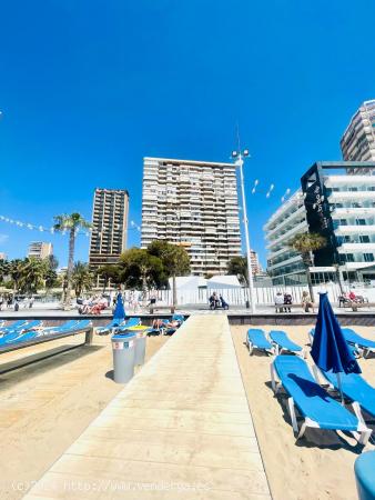 Apartamento en venta en Primera línea de playa Levante, Benidorm. - ALICANTE