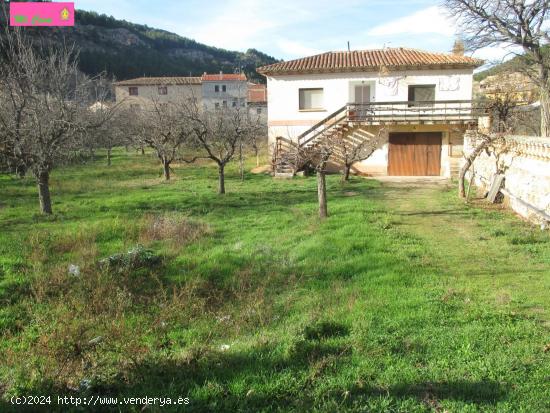 PARCELA DE TERRENO  URBANO DE 9000M2, EN CENTRO DEL PUEBLO, Y UNIFAMILIAR DE 150M2 - ZARAGOZA