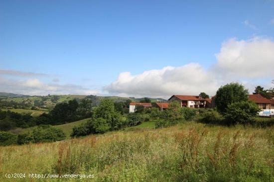 VISTAS A LA MONTAÑA - CANTABRIA