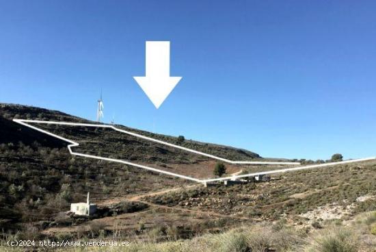 Finca de secano en desnivel, parte de la finca pertenece a un barranco, sembrado de almendros - GRAN