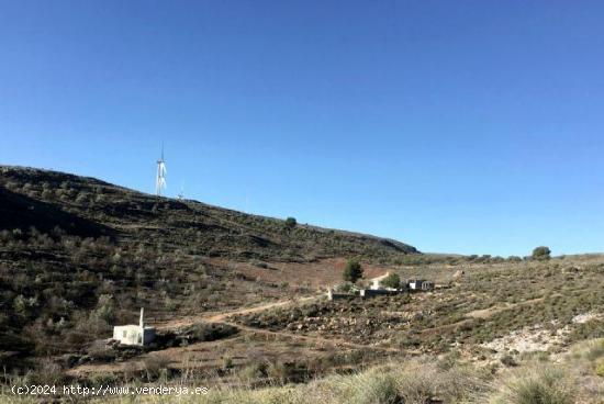 Finca de secano en desnivel, parte de la finca pertenece a un barranco, sembrado de almendros - GRAN