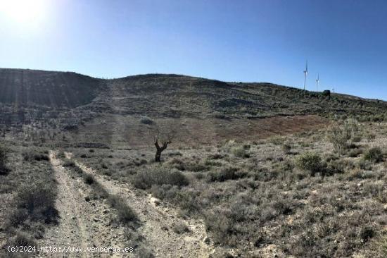 Finca de secano en desnivel, parte de la finca pertenece a un barranco, sembrado de almendros - GRAN