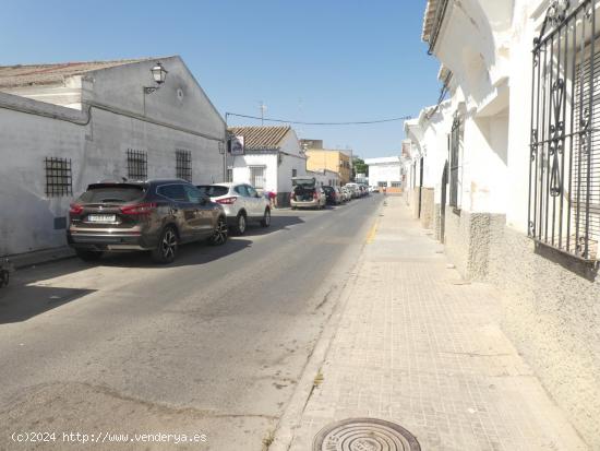 LOCAL EN LA ZONA DEL BARRIO ALTO - CADIZ