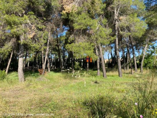 TERRENO EN VENTA JUNTO A LA URBANIZACION LAS AGUAS Y LA PUREZA - VALENCIA