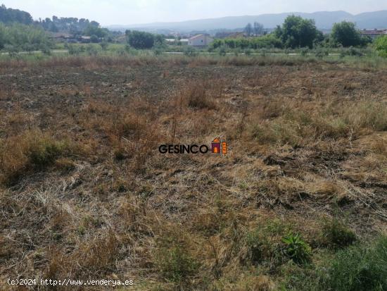 TERRENO PARA CULTIVO EN VENTA - VALENCIA