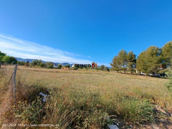 SUELO URBANO EN ZONA DE EXPANSIÓN DE L'ALCUDIA DE CRESPINS - VALENCIA