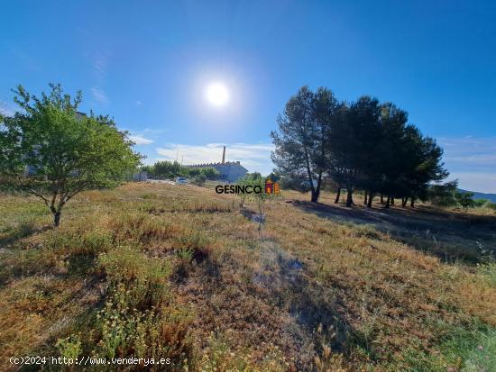 SUELO URBANO EN ZONA DE EXPANSIÓN DE L'ALCUDIA DE CRESPINS - VALENCIA