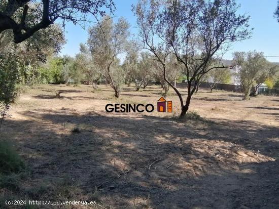  TERRENO URBANO EN EL CARRAIXET - VALENCIA 