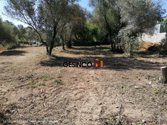 TERRENO URBANO EN EL CARRAIXET - VALENCIA