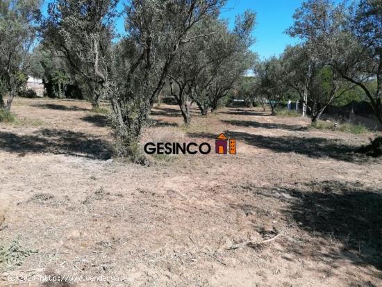 TERRENO URBANO EN EL CARRAIXET - VALENCIA