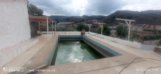  Cortijo de piedra con 20 hec de terreno - MURCIA 