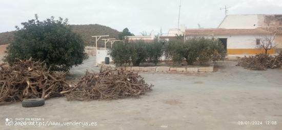 Cortijo de piedra con 20 hec de terreno - MURCIA