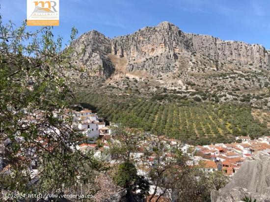  Casa Unifamiliar a la venta en Montejaque - MALAGA 