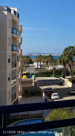 ALQUILER ANUAL EN PLAYA DE GUARDAMAR - VALENCIA