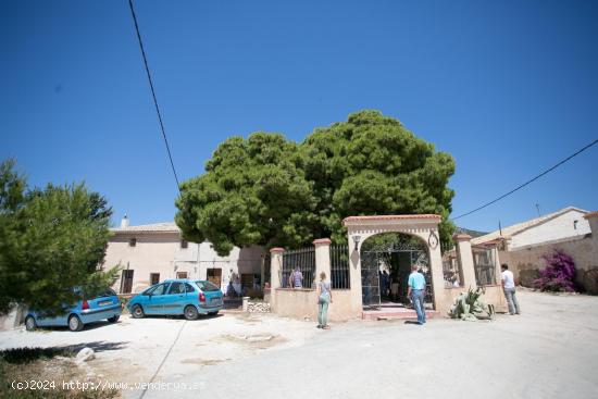  Bodega en venta en Alicante, El Pinoso - ALICANTE 