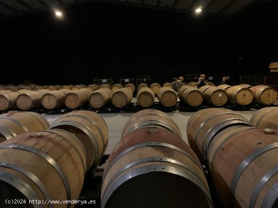 Bodega en venta en Alicante, El Pinoso - ALICANTE