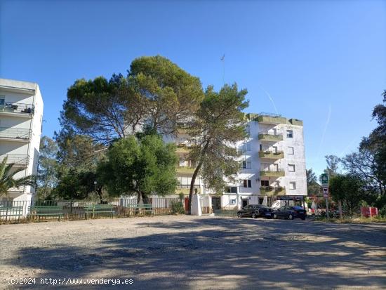 Venta de vivienda en Guillena, Sevilla - SEVILLA