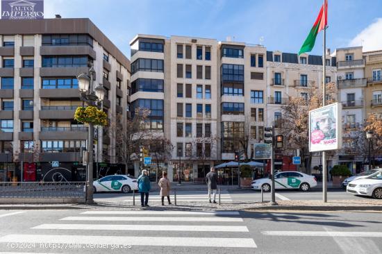 Magnifico piso u oficina en pleno centro de Granada. - GRANADA