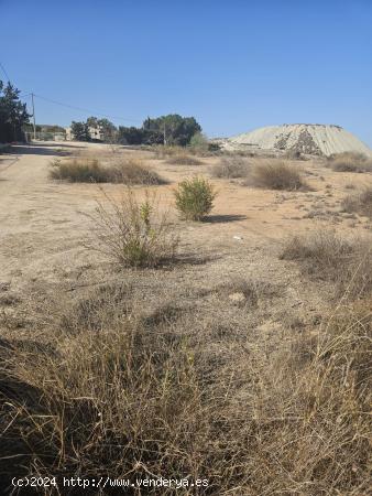 TERRENO RÚSTICO EN MOLINA DE SEGURA - MURCIA