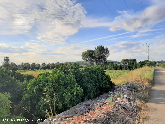 Parcela rústica en venta - Zona la Vereda del Pla, en Rafelguaraf - VALENCIA