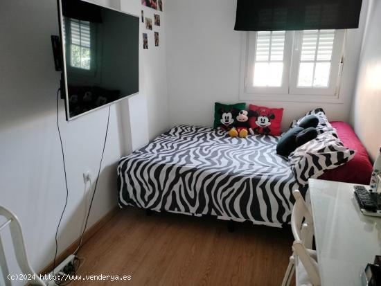 SE VENDE PISO EN CADIZ , ZONA LA LAGUNA - ESTADIO - CADIZ