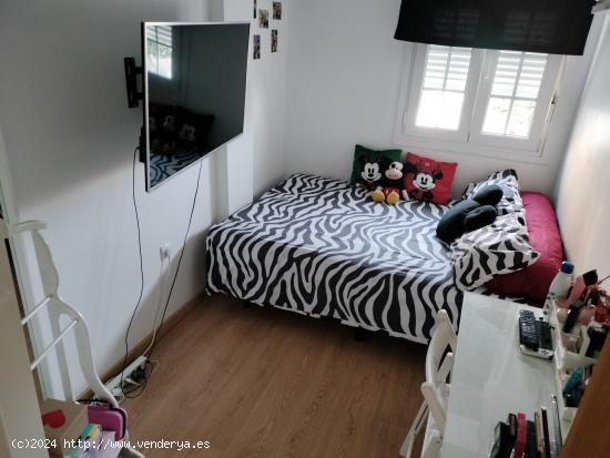 SE VENDE PISO EN CADIZ , ZONA LA LAGUNA - ESTADIO - CADIZ