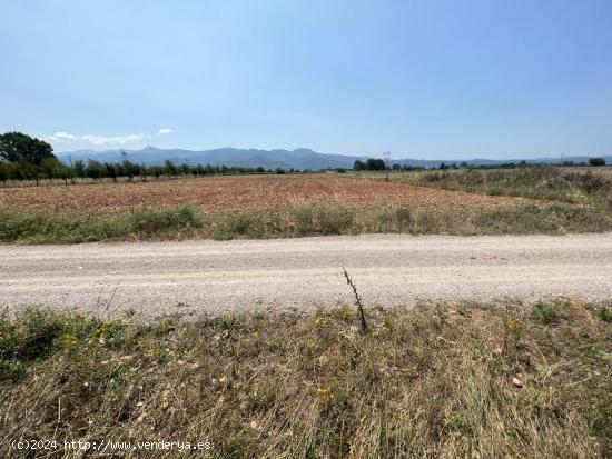  SE VENDE FINCA RUSTICA  DE 3000 M2 EN LAS CHANAS DE CAMPONARAYA - LEON 