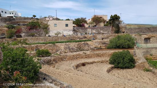 Finca con casa a reformar en La Medida, Güimar - SANTA CRUZ DE TENERIFE