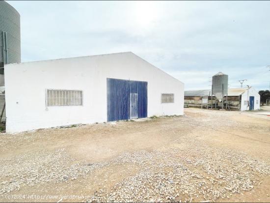 Alquiler de nave en Mollina - MALAGA