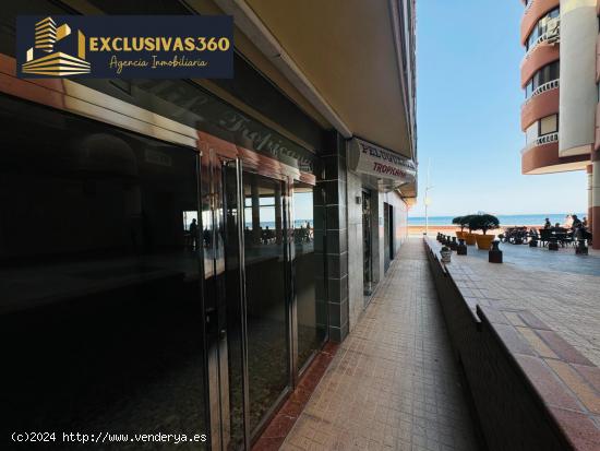 Apartamento de 2 Hab y 1 Baño en Benidorm frente al mar en Playa poniente. Exclusivas360 - ALICANTE