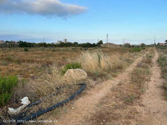 25.000 M2 de TERRENO EN VILASSAR DE MAR! - BARCELONA