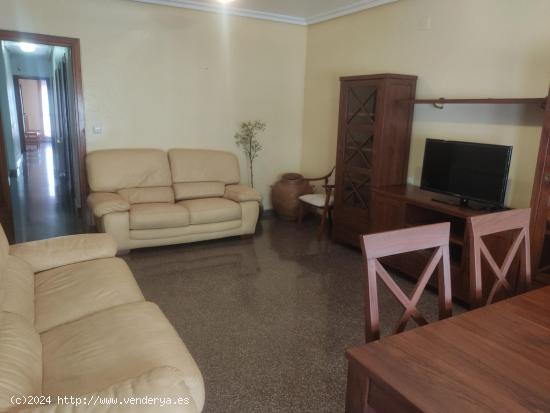 VIVIENDA DE 4 DORMITORIO Y AMPLIO PATIO EN CALLE ANICETO COLOMA - ALBACETE