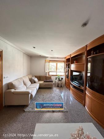 BUNGALOW EN VENTA EN NOVELDA - ALICANTE