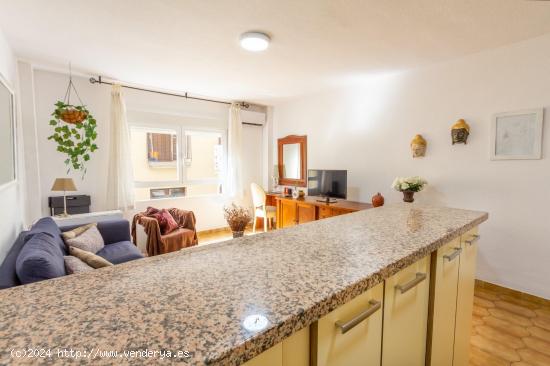 en pleno centro de granada,  bonito apartamento. - GRANADA