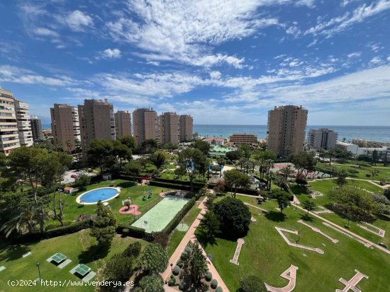 APARTAMENTO URBANIZACION 1º LINEA DE PLAYA, PLAYAMAR - Torremolinos